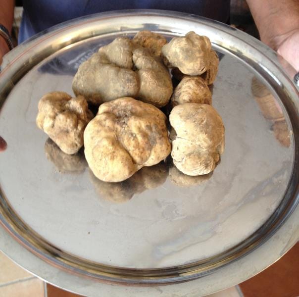 158 FOTO PRODOTTI 158