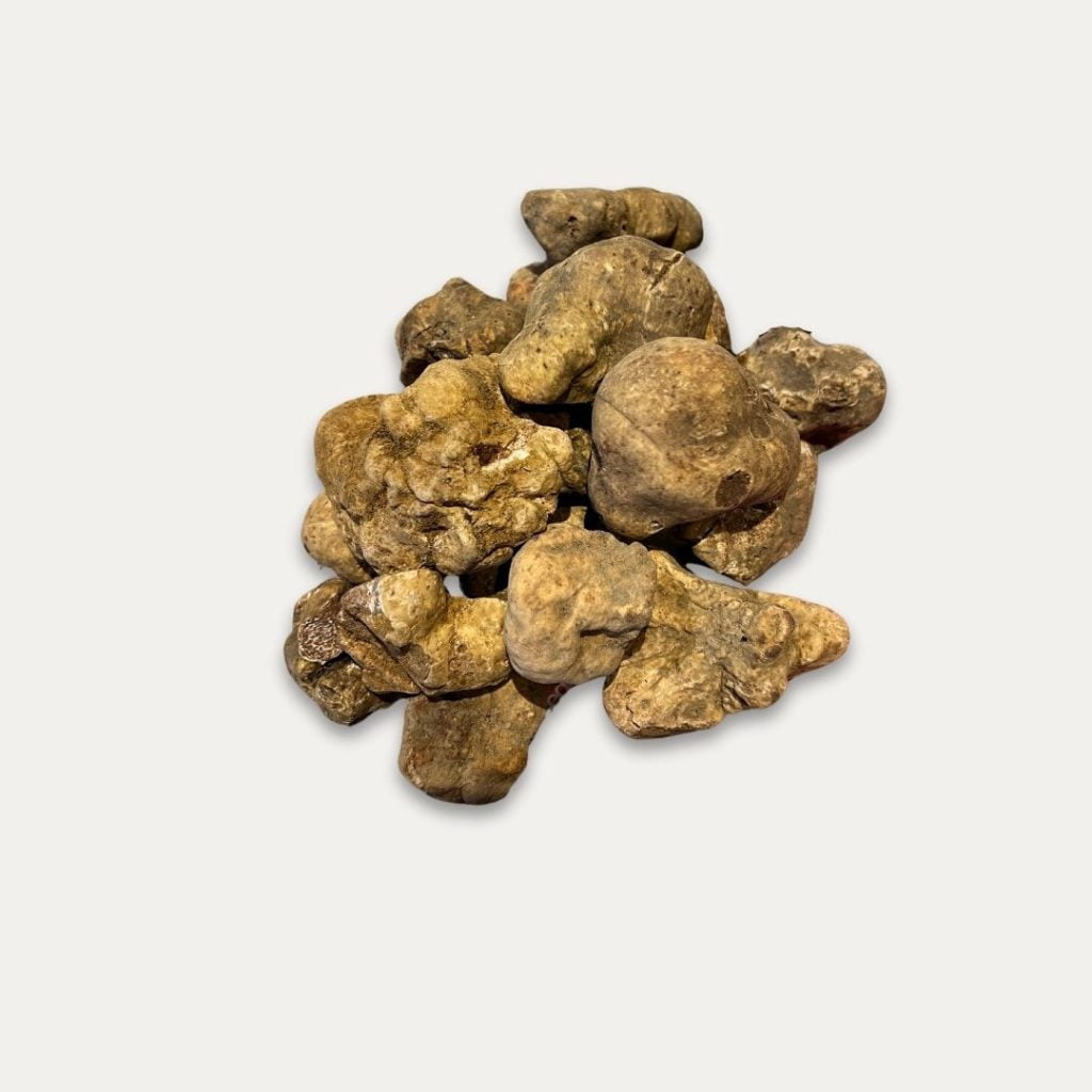 TartufoFrescoBianchetto