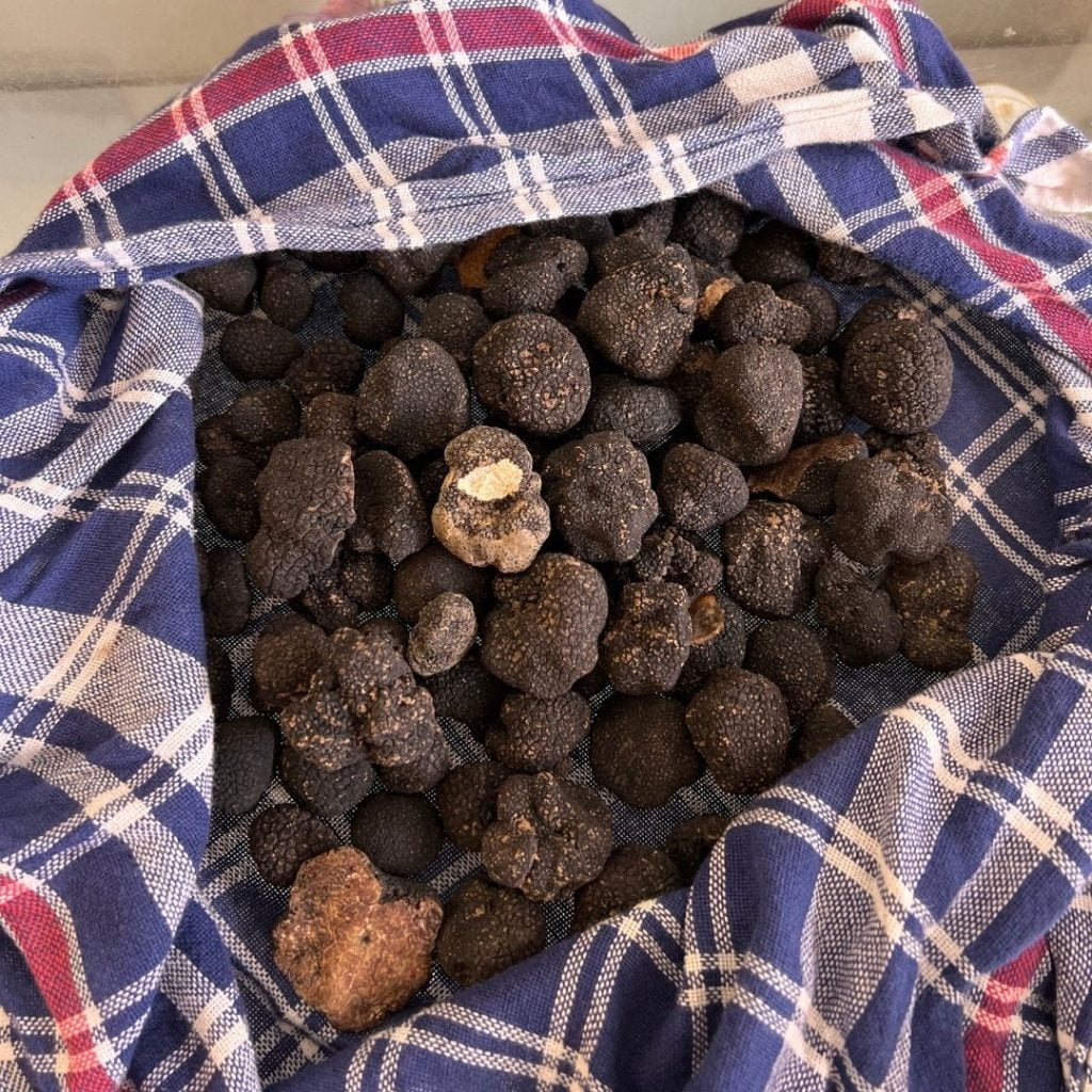 TartufoFrescoNero 5