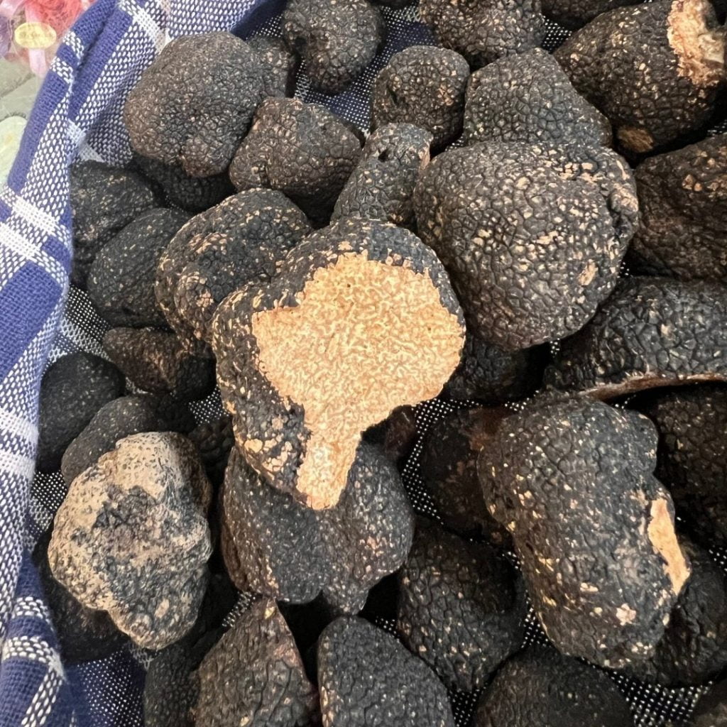 TartufoFrescoNero 6