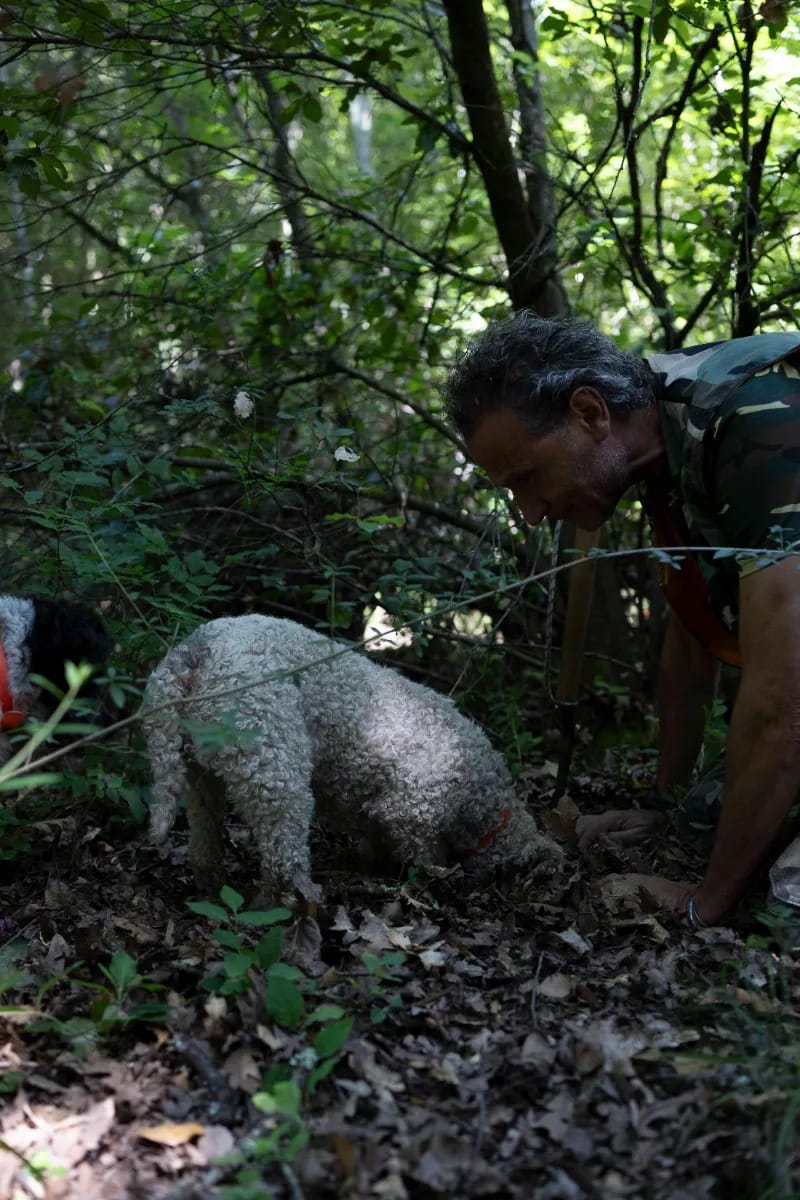 caccia al tartufo nacci tartufi 11