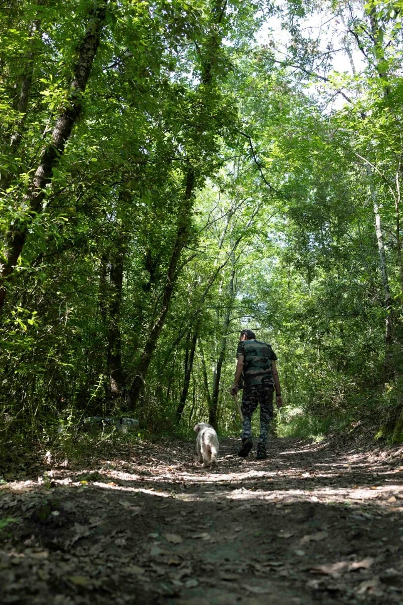 caccia al tartufo nacci tartufi 4