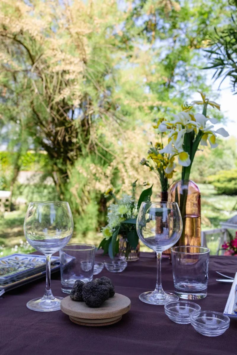 degustazione tartufo san miniato