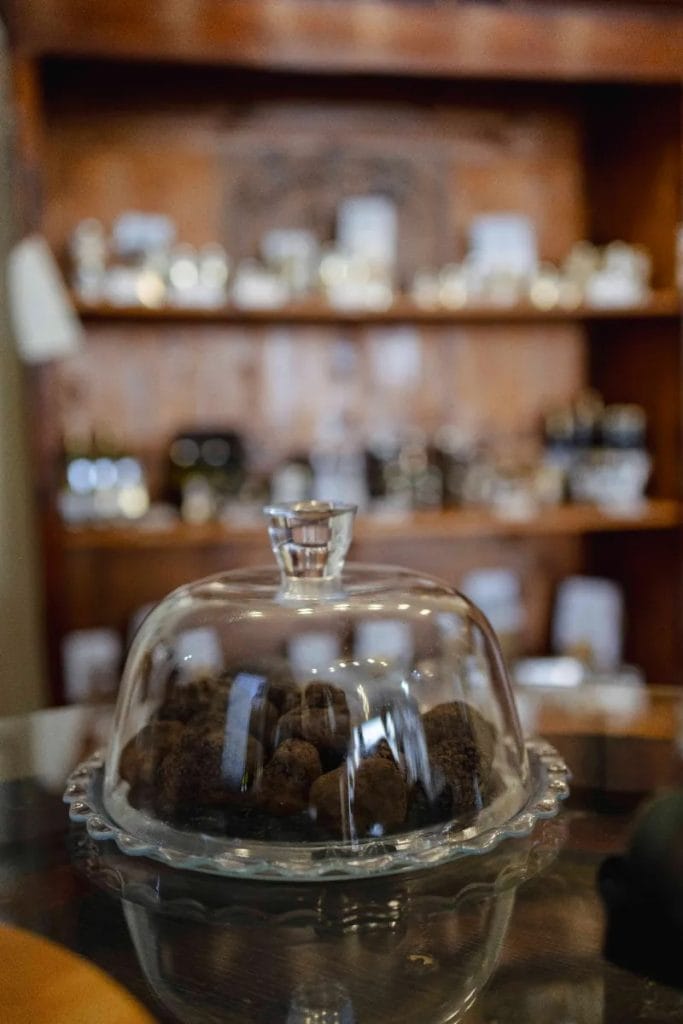 tarfui nacci 2 tarfui nacci 2